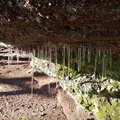IMG_20190119_114207273.jpeg